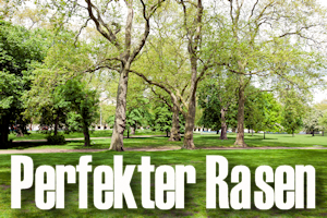 rasen rasenmäher mähroboter
