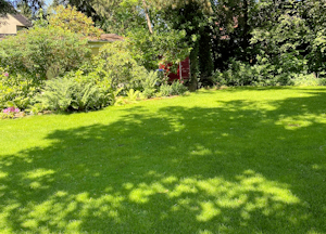 rasen rollrasen garten
